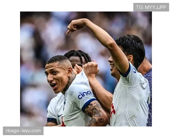 理查利森情绪管理