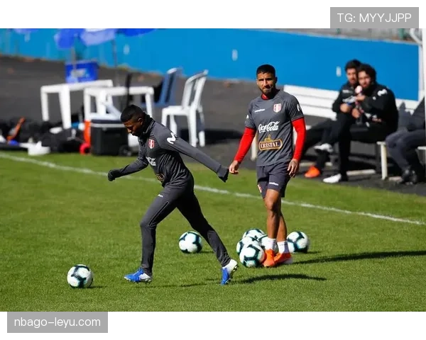 秘鲁队美洲杯表现